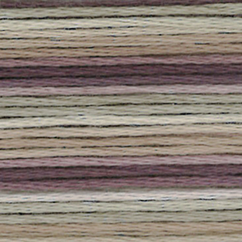 Cosmos Seasons Embroidery Floss - 