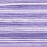 Cosmos Seasons Embroidery Floss - 