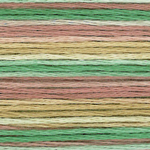 Cosmos Seasons Embroidery Floss - 
