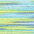 Cosmos Seasons Embroidery Floss - 