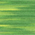 Cosmos Seasons Embroidery Floss - 