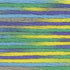 Cosmos Seasons Embroidery Floss - 