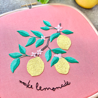Make Lemonade Kit