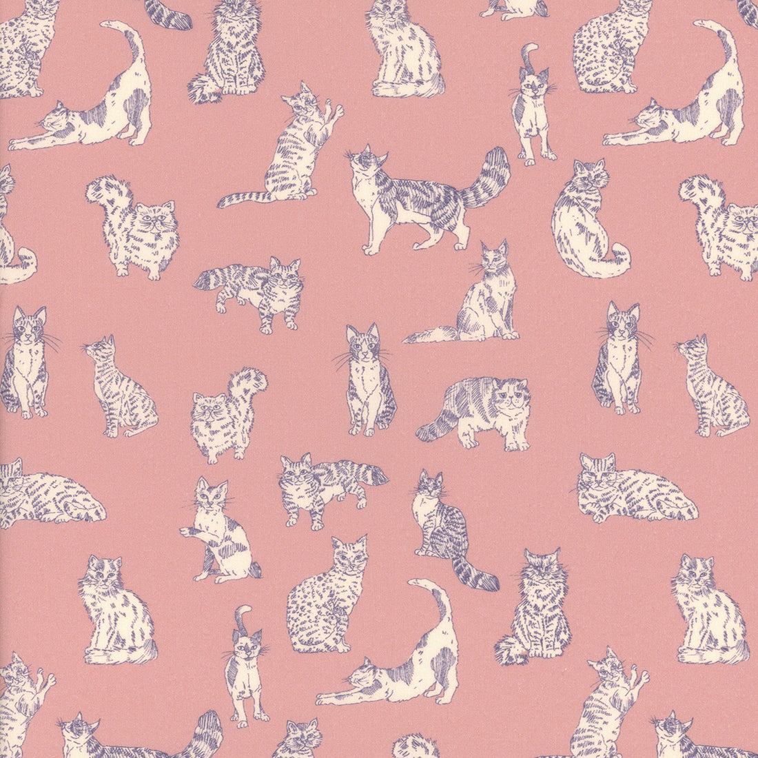 Meow A