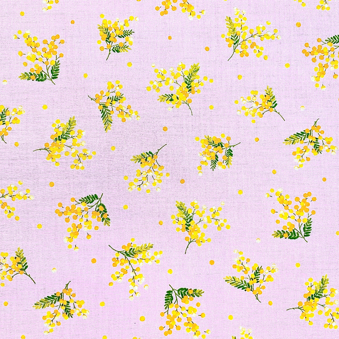 Cosmo Japan - Pink Wattle