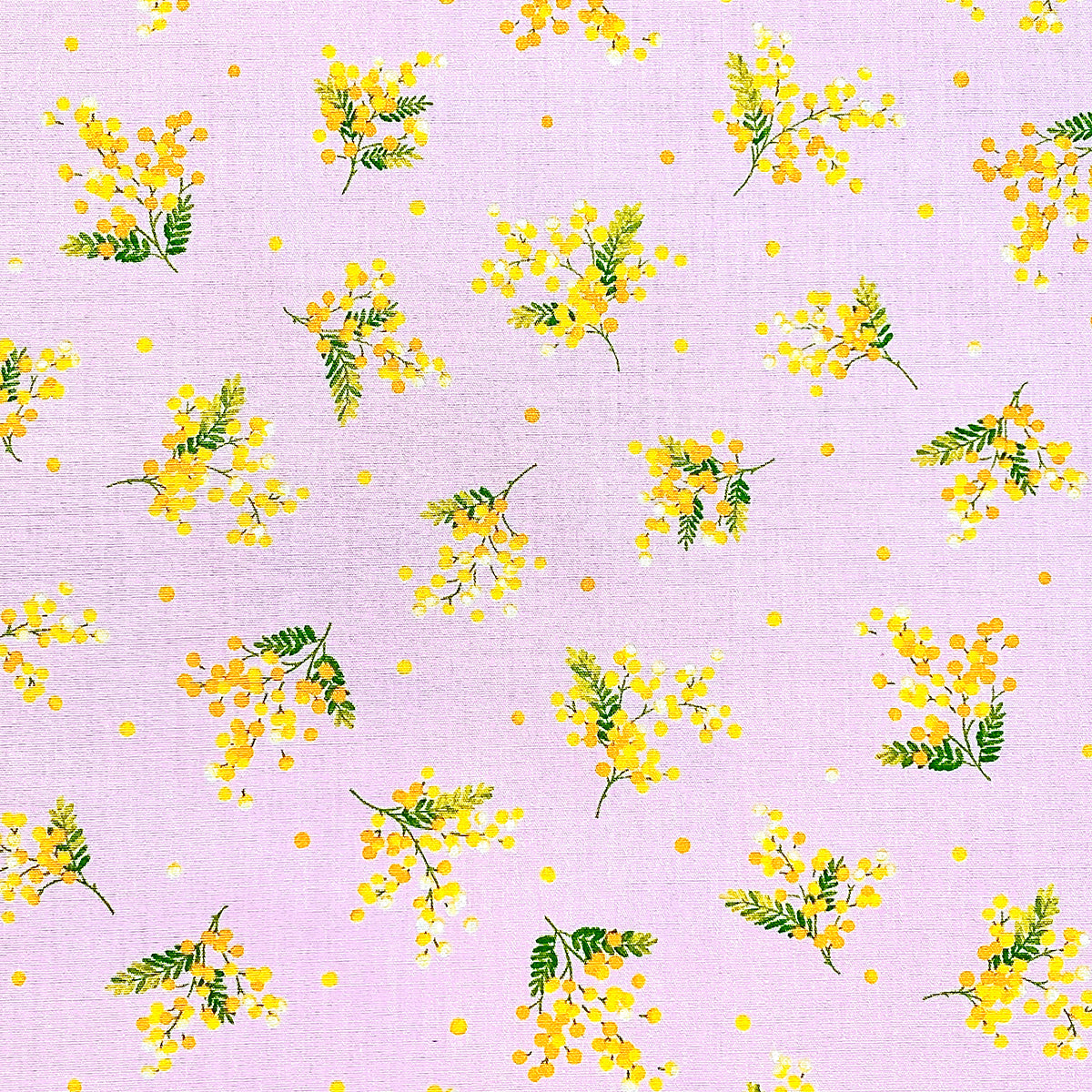 Cosmo Japan - Pink Wattle