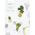 Plant It PDF Pattern