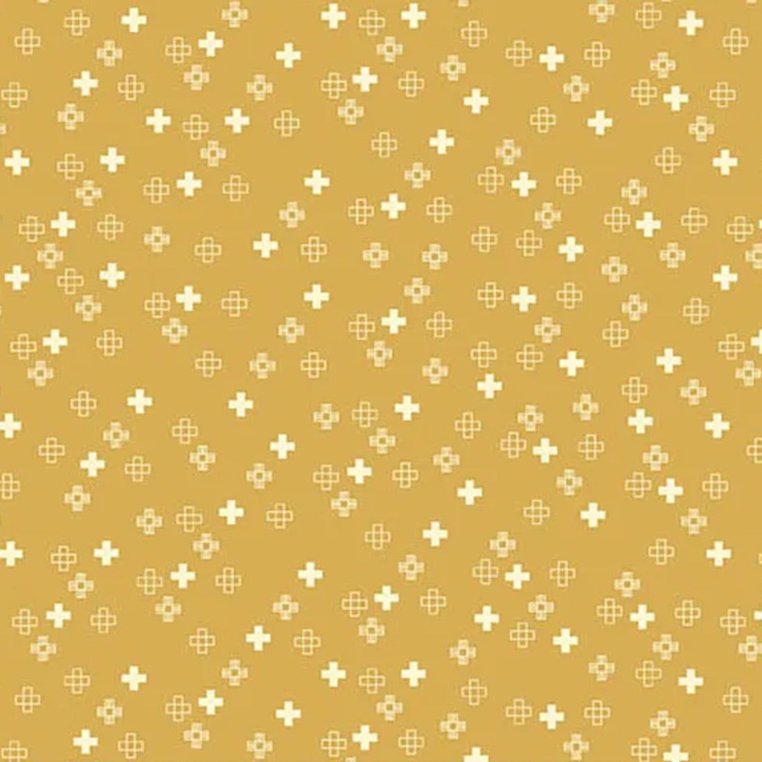 Conway Cottage - Plus Point - Yellow