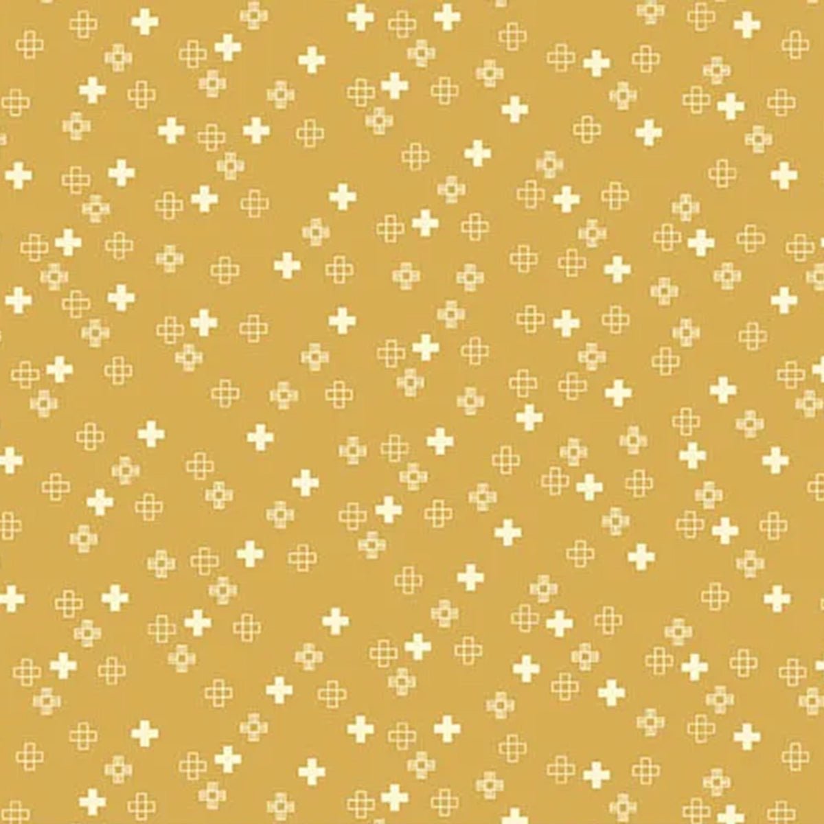 Conway Cottage - Plus Point - Yellow