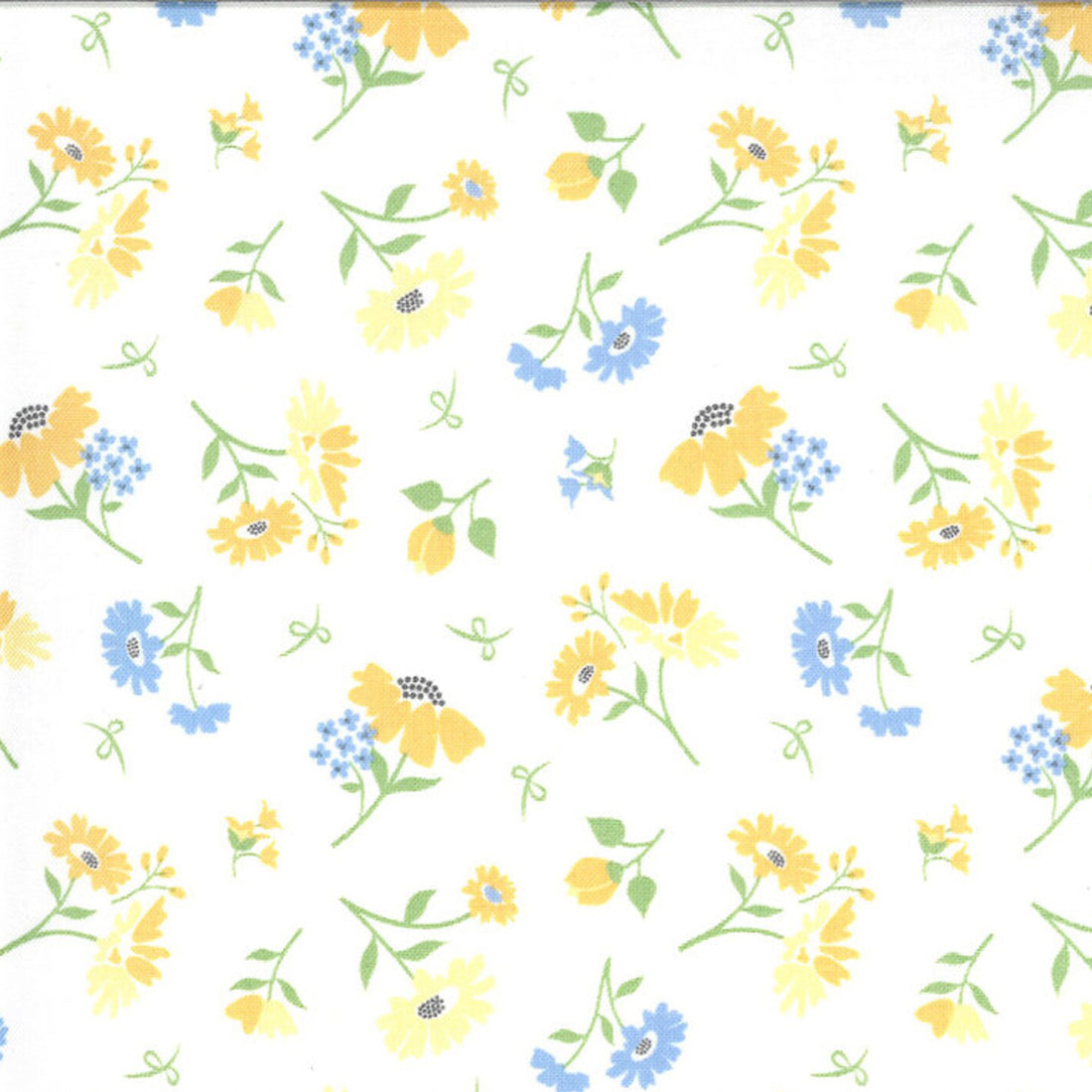 Spring Brook - Cloud Daisies
