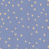 Starry - Dusk