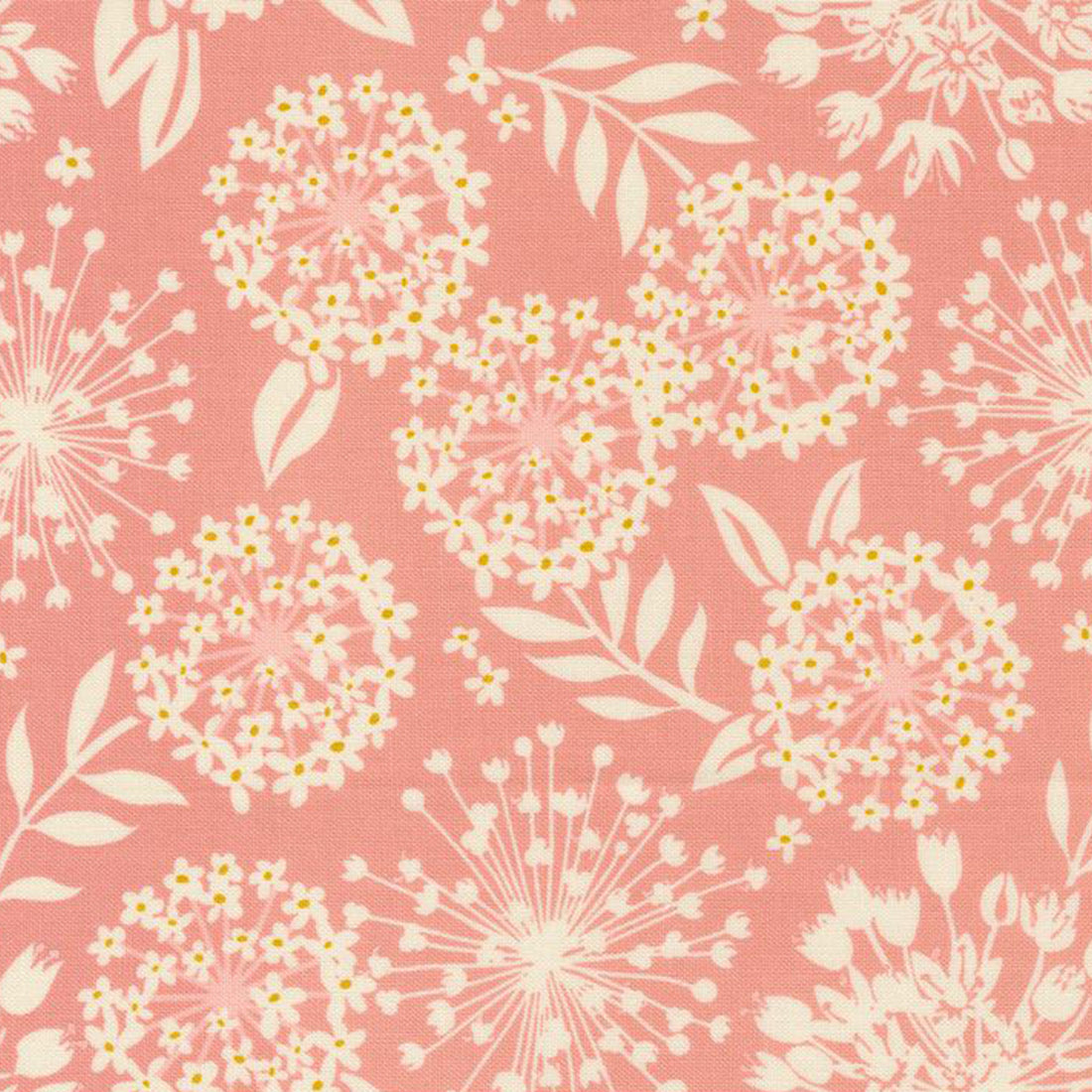 Tango - Simpatico - Petal