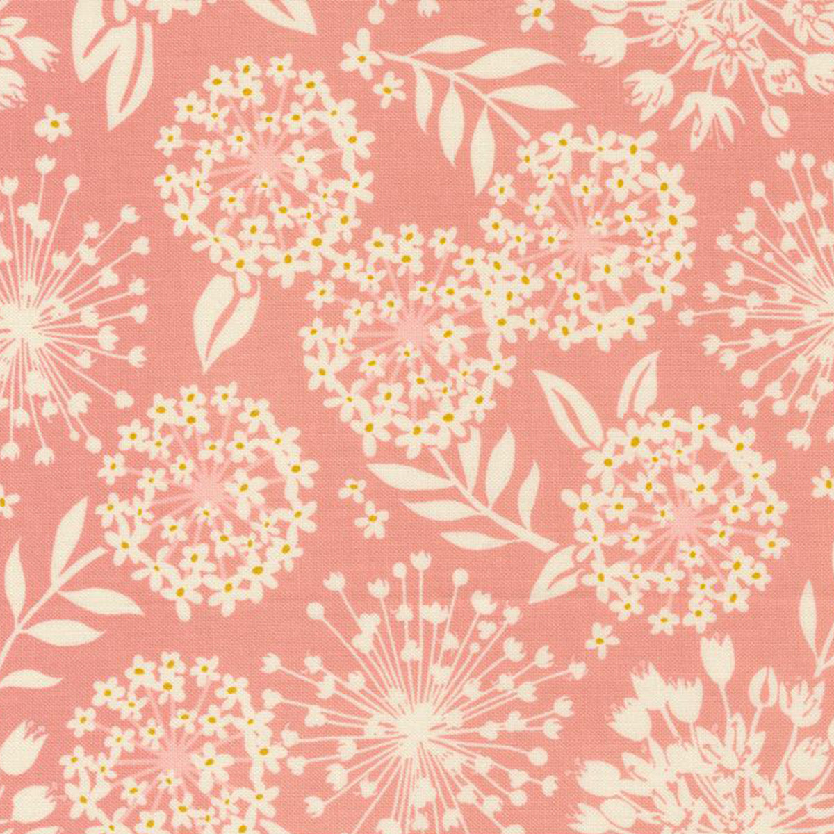 Tango - Simpatico - Petal