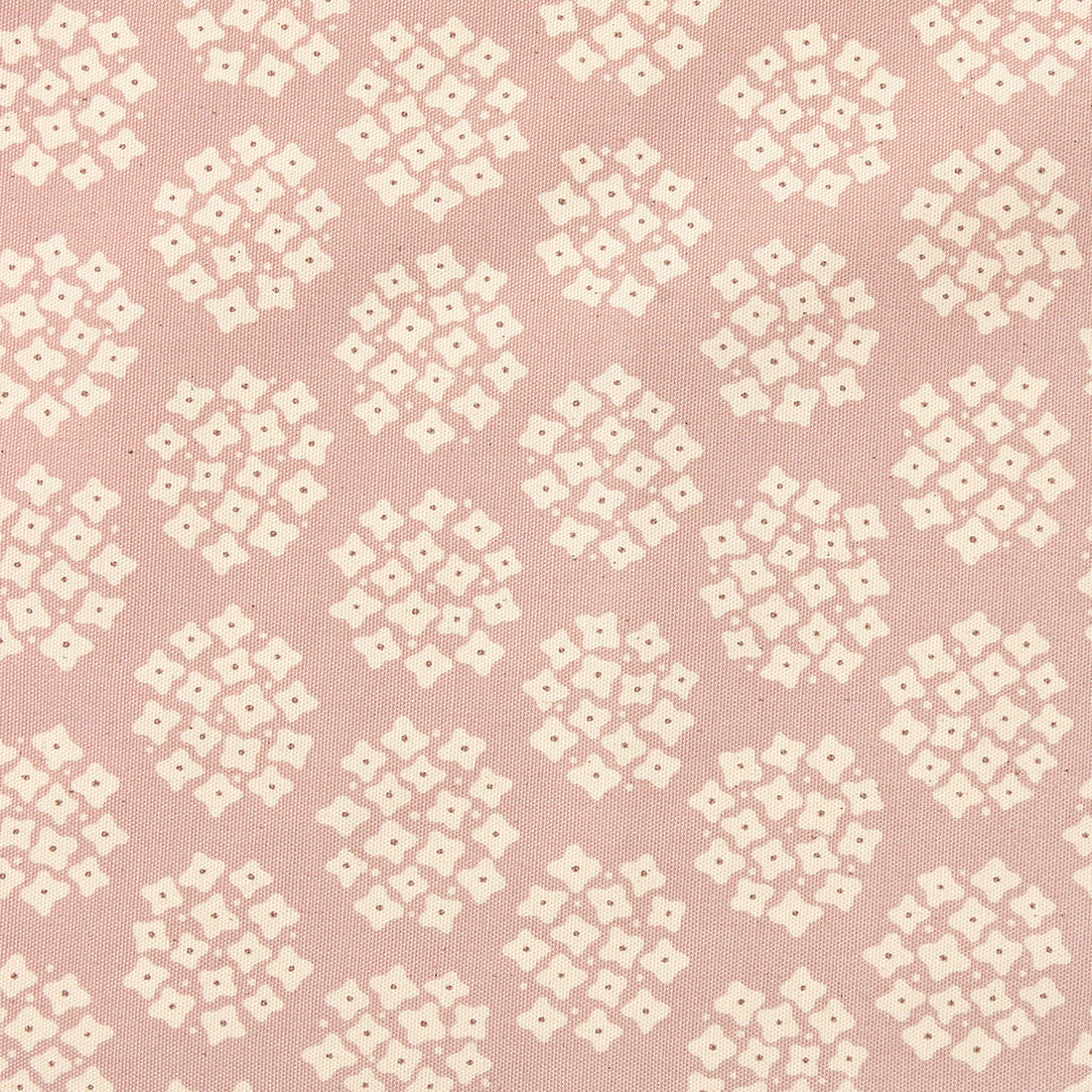 Teiban Hydrangea - Oxford - Pink