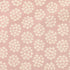 Teiban Hydrangea - Oxford - Pink