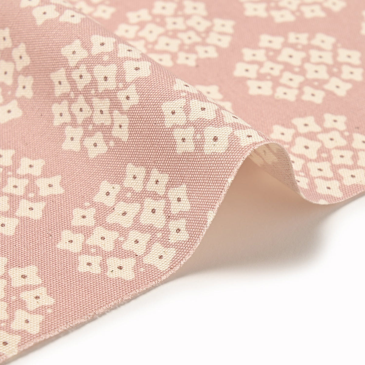 Teiban Hydrangea - Oxford - Pink