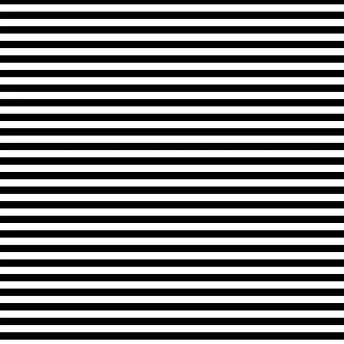 Stripes - Zebra 1/4"
