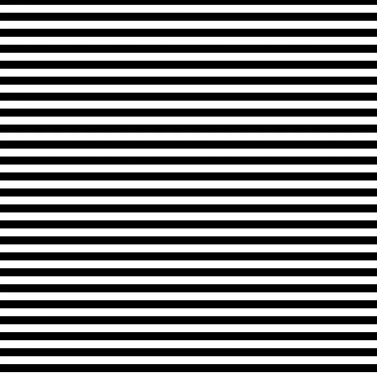 Stripes - Zebra 1/4"