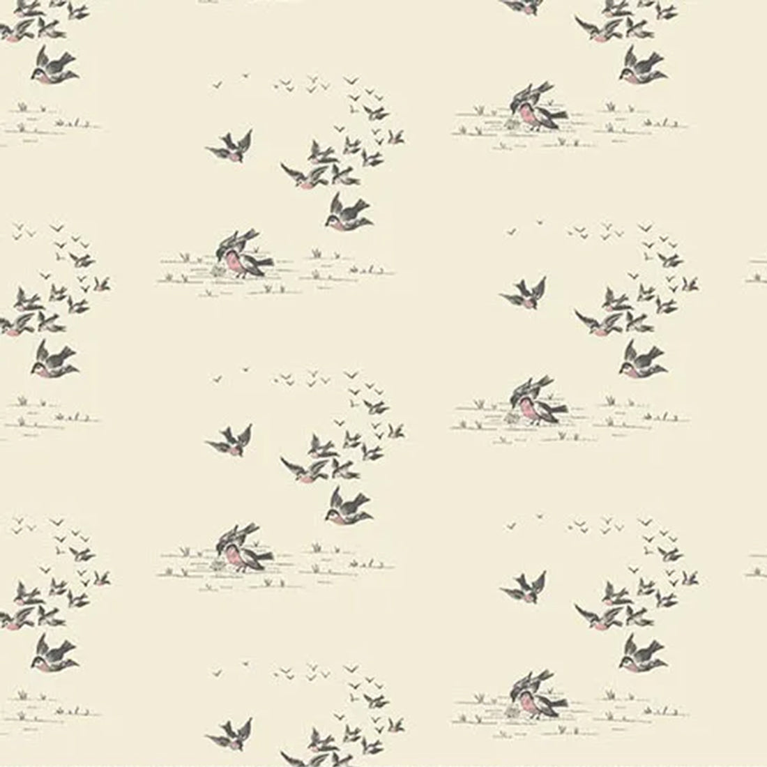 Ayla - Flying Birds - Grain