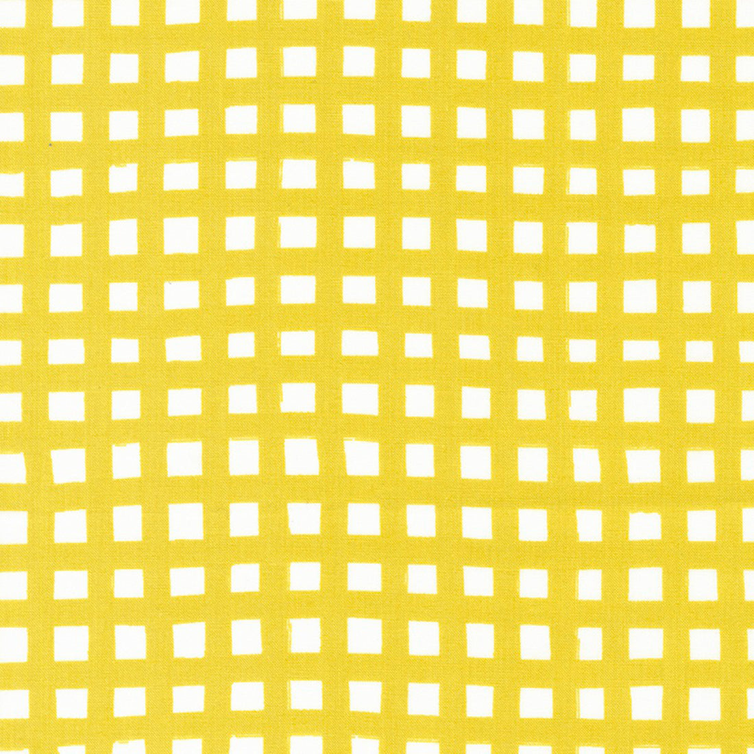 Marigold - Paint Check - Buttercup